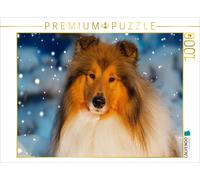 CALVENDO Puzzle A beautiful collie | 1000 pieces, finished size 25.2 × 18.9 in (