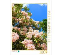 CALVENDO Puzzle A blooming rhododendron, southern England. Quote: Dietrich Bonho