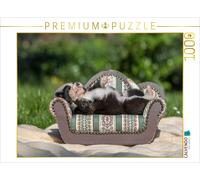 CALVENDO Puzzle A Border Collie puppy is lying on a small sofa | 1000 pieces, fi