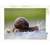 CALVENDO Puzzle A calendar image that moves through the year at a snail's pace |