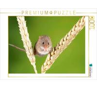 CALVENDO Puzzle Mignonne Souris naine en équilibre Entre Deux épis de maïs. 1000 Pieces 64 x 48 cm from Verlag