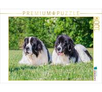 CALVENDO Puzzle A dream team | 1000 pieces, finished size 25.2 × 18.9 in (64 × 4