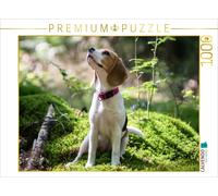 CALVENDO Puzzle Fille de Beagle dans la forêt 1000 Pieces 64 x 48 cm from Sonja Teßen