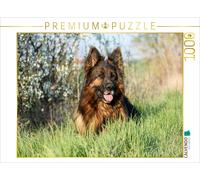 CALVENDO Puzzle A great companion | 1000 pieces, finished size 25.2 × 18.9 in (6
