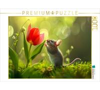 CALVENDO Puzzle A great flower | 1000 pieces, finished size 25.2 × 18.9 in (64 ×