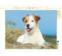 CALVENDO Puzzle Jack Russell Terrier Prend Une Pause sur Un Rocher. 1000 Pieces 64 x 48 cm from Verlag
