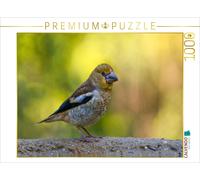 CALVENDO Puzzle A juvenile CORE BITE - just too droll | 1000 pieces, finished si