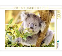 CALVENDO Puzzle A koala is happily munching on a leaf | 1000 pieces, finished si