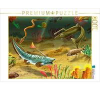 CALVENDO Puzzle à l'âge de la Terre en Carbone, Vie dans la mer | 1000 pièces - Dimensions : 64 x 48 cm - Puzzle Photo pour des Heures de Bonheur