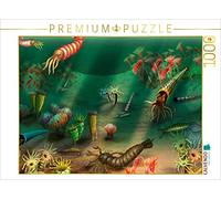 CALVENDO Puzzle à l'âge de la Terre, Silur, Vie dans la mer | 1000 pièces - Dimensions : 64 x 48 cm - Puzzle Photo pour des Heures de Bonheur