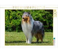CALVENDO Puzzle Un Magnifique mâle Collie 1000 Pieces 64 x 48 cm from Sista-Tierfoto