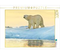 CALVENDO Puzzle A magnificent polar bear against a glowing sunset. | 1000 pieces