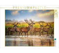 CALVENDO Puzzle A moment of silence. | 1000 pieces, finished size 25.2 × 18.9 in