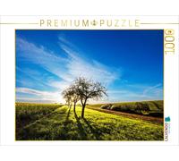 CALVENDO Puzzle A motif from the calendar Colorful Palatinate Forest | 1000 piec