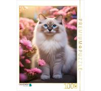 CALVENDO Puzzle A motif from the calendar Paw adventures - Ragdolls in nature |