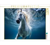 CALVENDO Puzzle A noble horse goes swimming | 1000 pieces, finished size 25.2 ×