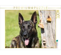 CALVENDO Puzzle A photo from the calendar: Expressive Dutch Shepherd Dogs | 1000