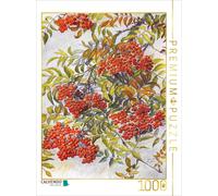 CALVENDO Puzzle Espèces pionnières sur Les marges ou dans Les bosquets du Corridor : sorbier ou sorbier des oiseleurs. 1000 Pieces 48 x 64 cm from Nils Hoffmann