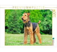 CALVENDO Puzzle Une Belle Fille 1000 Pieces 64 x 48 cm from Sista-Tierfoto