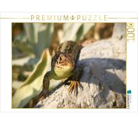CALVENDO Puzzle A sand lizard on a rock | 1000 pieces, finished size 25.2 × 18.9