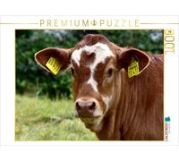 CALVENDO Puzzle Bovins sur Les prairies de l'Eifel 1000 Pieces 64 x 48 cm from DeVerviers