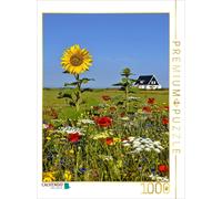 CALVENDO Puzzle A Summer Day - Den Burg | 1000 pieces, finished size 25.2 × 18.9