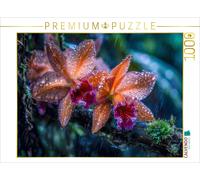 CALVENDO Puzzle A touch of the exotic meets a timeless Cattleya | 1000 pieces, f