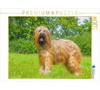 Puzzle · Une Vraie beauté - Briard | 1000 pièces · Format assemblé 64 × 48 cm · CALVENDO Puzzle