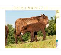 CALVENDO Puzzle A typical Poitou donkey mare with her foal | 1000 pieces, finish