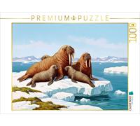 CALVENDO Puzzle A walrus with its calves on an ice floe | 1000 pieces, finished