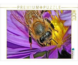 CALVENDO Puzzle Abeille à Miel 1000 Pieces 64 x 48 cm from Claudia Kleemann