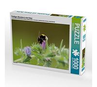 CALVENDO Puzzle Abeille occupée dans la Nature 1000 Pieces 64 x 48 cm from Heike Hultsch