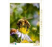 CALVENDO Puzzle Abeille sur Marguerite 1000 Pieces 48 x 64 cm from Mark Bangert