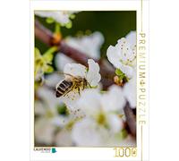 CALVENDO Puzzle Abeille sur Une Fleur de Fruit 1000 Pieces 48 x 64 cm from Mark Bangert