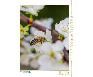 CALVENDO Puzzle Abeille sur Une Fleur de Fruit 1000 Pieces 48 x 64 cm from Mark Bangert