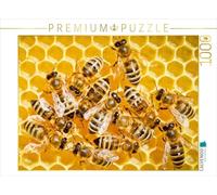CALVENDO Puzzle Abeilles à Miel sur Un Rayon fraîchement construit. 1000 Pieces 64 x 48 cm from Verlag