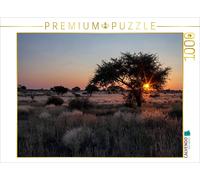 CALVENDO Puzzle Acacia dans Le désert du Kalahari en Namibie 1000 Pieces 64 x 48 cm from Sandra Schänzer