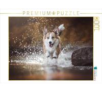 CALVENDO Puzzle Action sur l'eau avec Le Welsh Corgi Molly 1000 Pieces 64 x 48 cm from Maria Ahrens