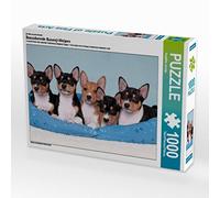 CALVENDO Puzzle Adorable Chiots Basenji 1000 Pieces 64 x 48 cm from Angelika Joswig