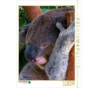 CALVENDO Puzzle Adorable Koala endormi 1000 Pieces 48 x 64 cm from Renate Bleicher