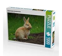 CALVENDO Puzzle Adorable Lapin Nain 1000 Pieces 64 x 48 cm from Kattobello