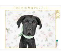 CALVENDO Puzzle Chiot Magique 1000 Pieces 64 x 48 cm from Natalie Eckelt