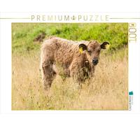 CALVENDO Puzzle Adorable Veau Galloway 1000 Pieces 64 x 48 cm from Meike Bölts