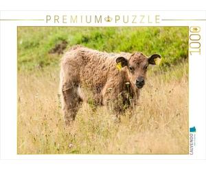 CALVENDO Puzzle Adorable Veau Galloway 1000 Pieces 64 x 48 cm from Meike Bölts