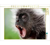 CALVENDO Puzzle AFFE 1000 Teile Puzzle quer 1000 Pieces 64 x 48 cm from Dieter Gödecke