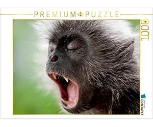 CALVENDO Puzzle AFFE 1000 Teile Puzzle quer 1000 Pieces 64 x 48 cm from Dieter Gödecke