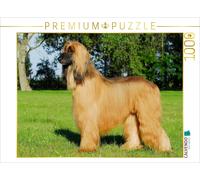 CALVENDO Puzzle Afghan Hound in all its glory | 1000 pieces, finished size 25.2