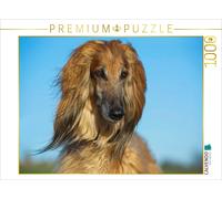 CALVENDO Puzzle Chien Afghan - Portrait 1000 Pieces 64 x 48 cm from Sista-Tierfoto