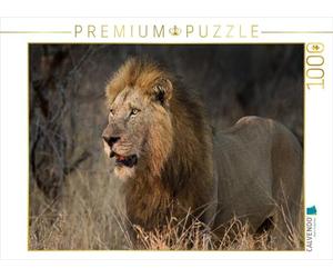 CALVENDO Puzzle Afrikas Tiere im Fokus 1000 Teile Puzzle quer 1000 Pieces 64 x 48 cm from Johann Schörkhuber