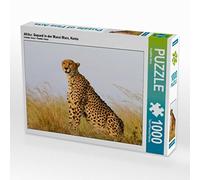 CALVENDO Puzzle Afrique : guépard dans Le Masai Mara, Kenya 1000 pièces Taille de la Pose 64 x 48 cm Photo Puzzle Image de Angelika Star